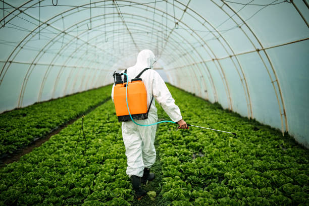 Best Residential Pest Control  in Charlotte, TX
