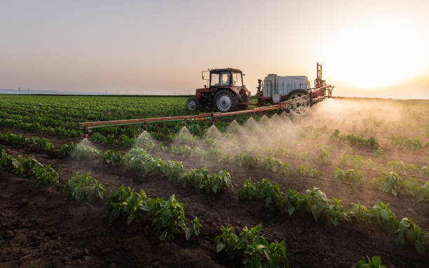 Best Commercial Pest Control Services  in Charlotte, TX