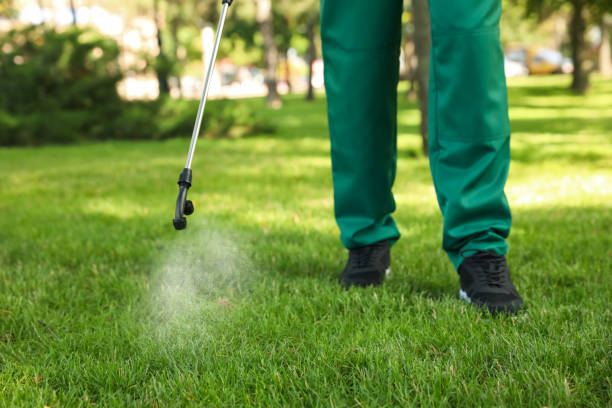 Best Pest Inspection Near Me  in Charlotte, TX