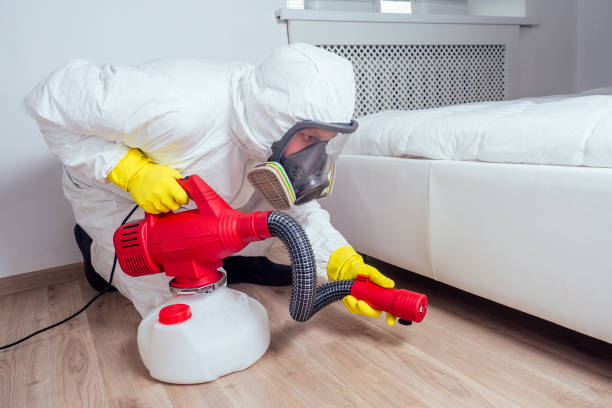 Best Best Pest Control Companies  in Charlotte, TX