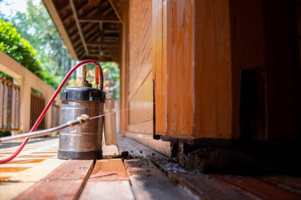 Best Mosquito Control Services  in Charlotte, TX
