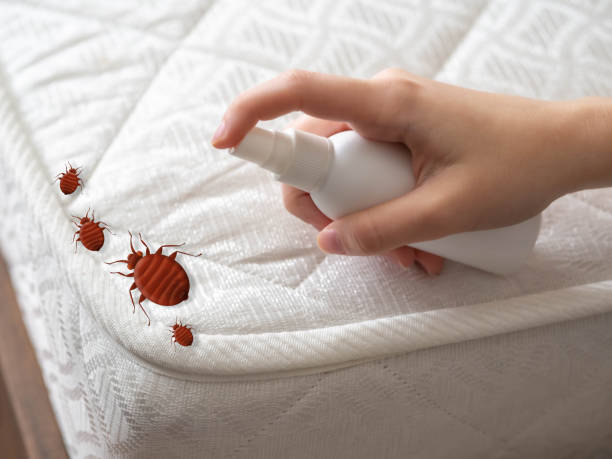 Best Pest Inspection Near Me  in Charlotte, TX